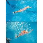 SwimCords Fitness